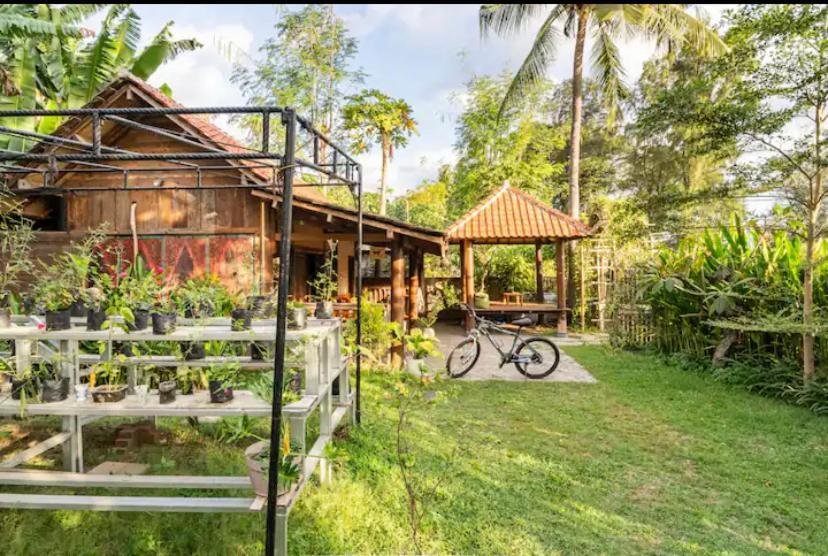 Al-Shifa Healing House Lombok Hotel Gili Air Bagian luar foto